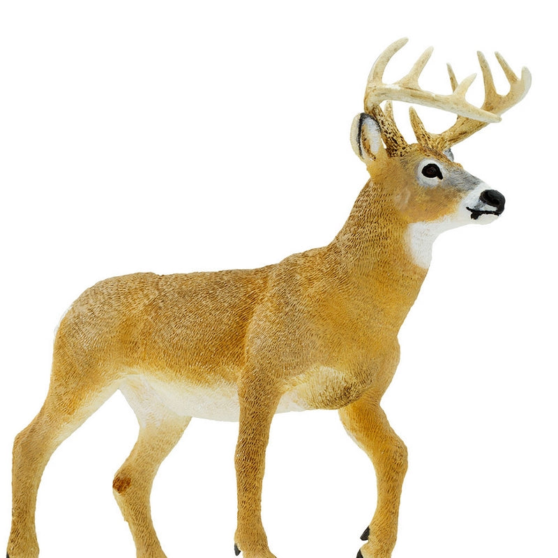 Safari Ltd Whitetail Buck