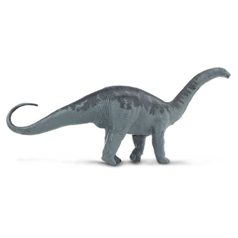 Safari Ltd Apatosaurus