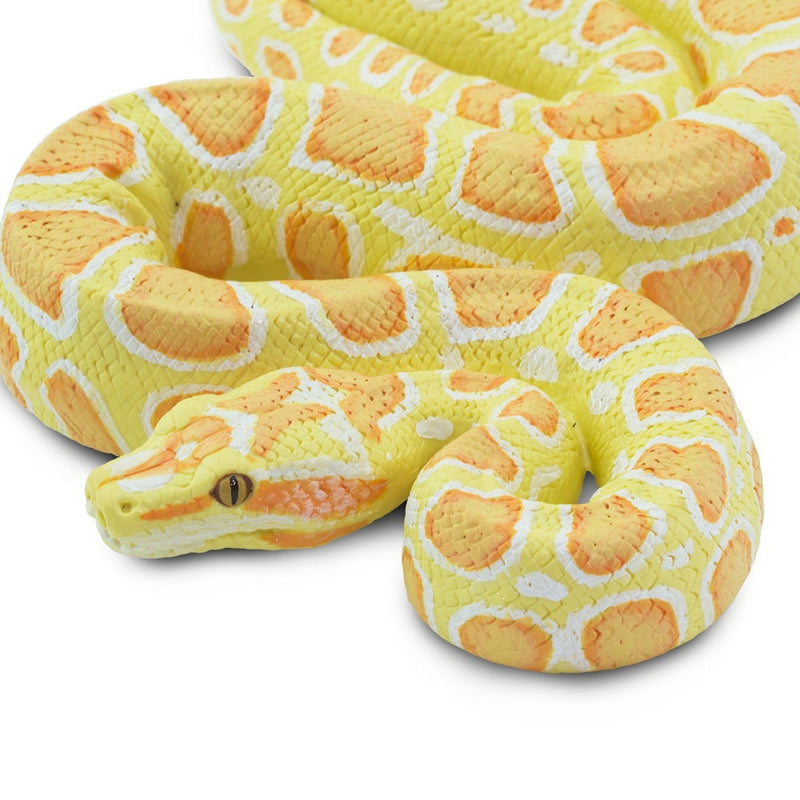 Safari Ltd Albino Burmese Python