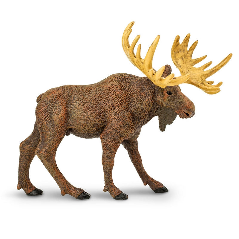 Safari Ltd Moose