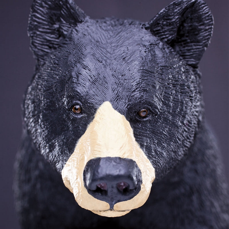 Safari Ltd Black Bear