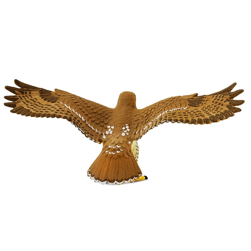 Safari Ltd Red Tailed Hawk