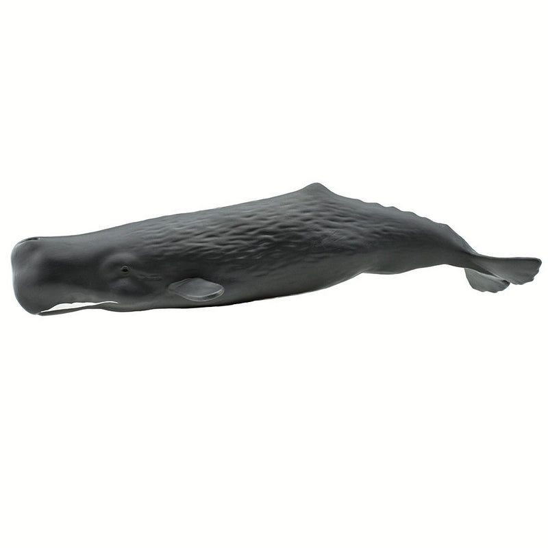 Safari Ltd Sperm Whale