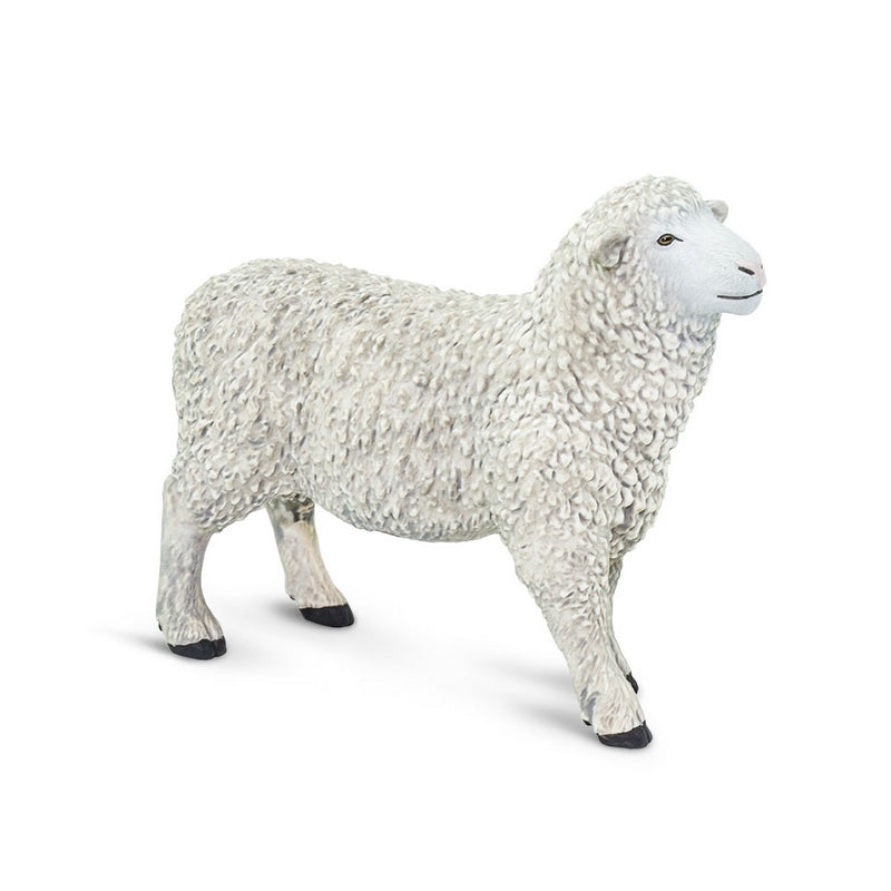 Safari Ltd Sheep