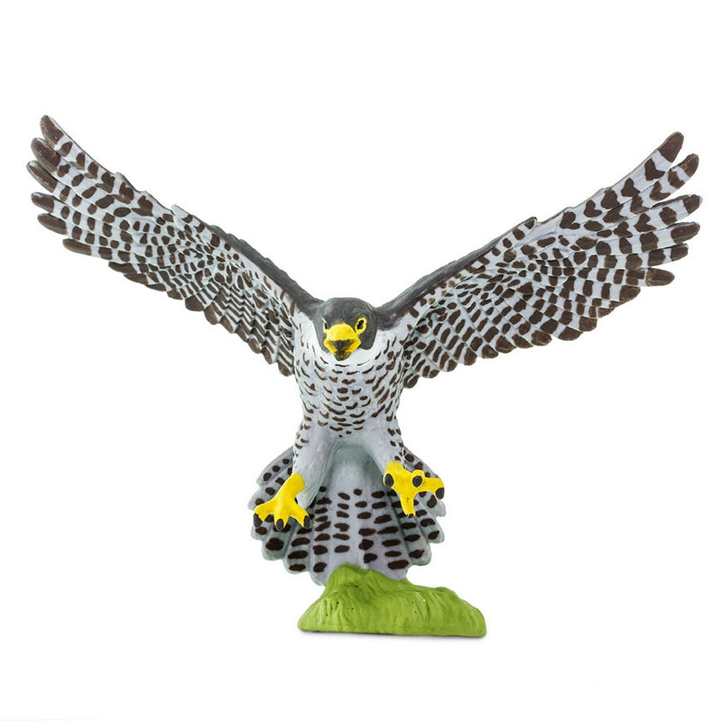 Safari Ltd Peregrine Falcon