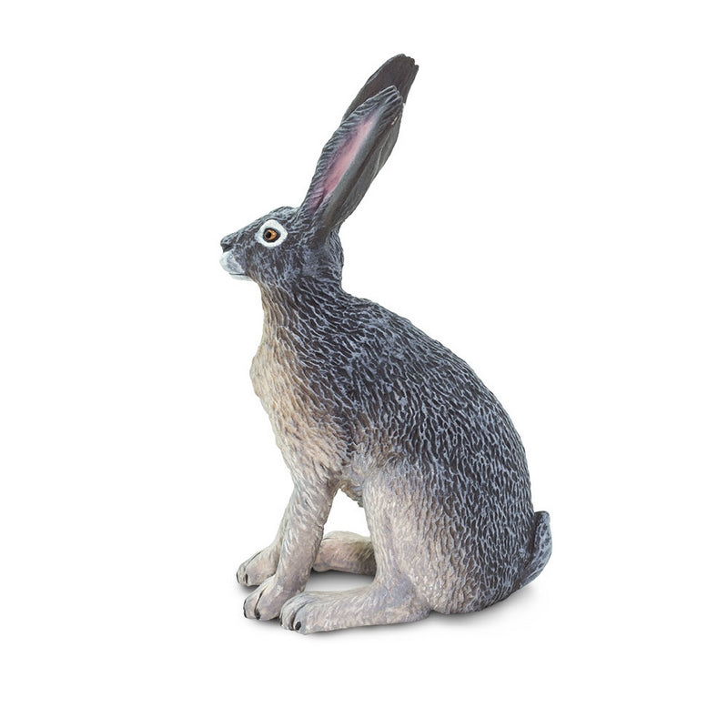 Safari Ltd American Desert Hare