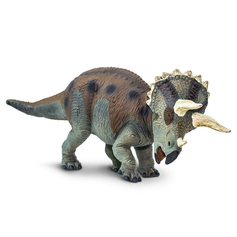 Safari Ltd Triceratops