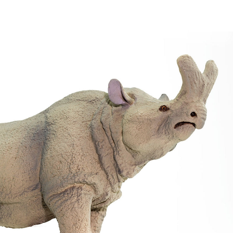 Safari Ltd Megacerops