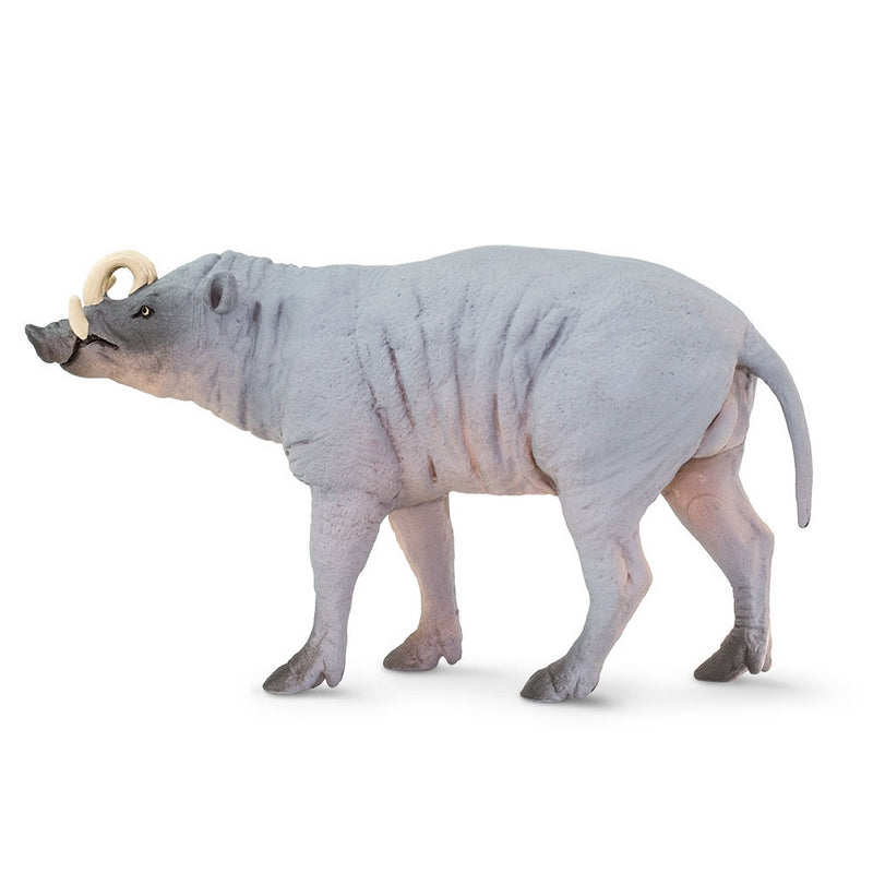 Safari Ltd Babirusa