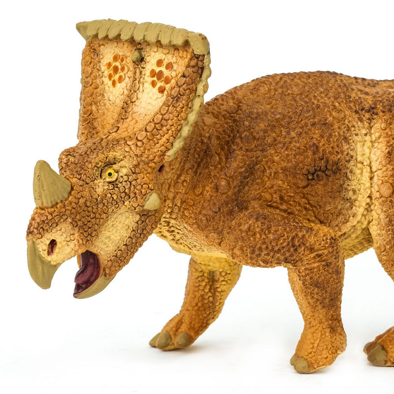 Safari Ltd Vagaceratops