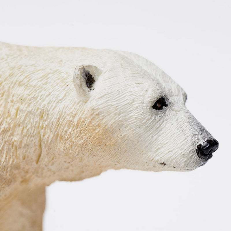 Safari Ltd Polar Bear