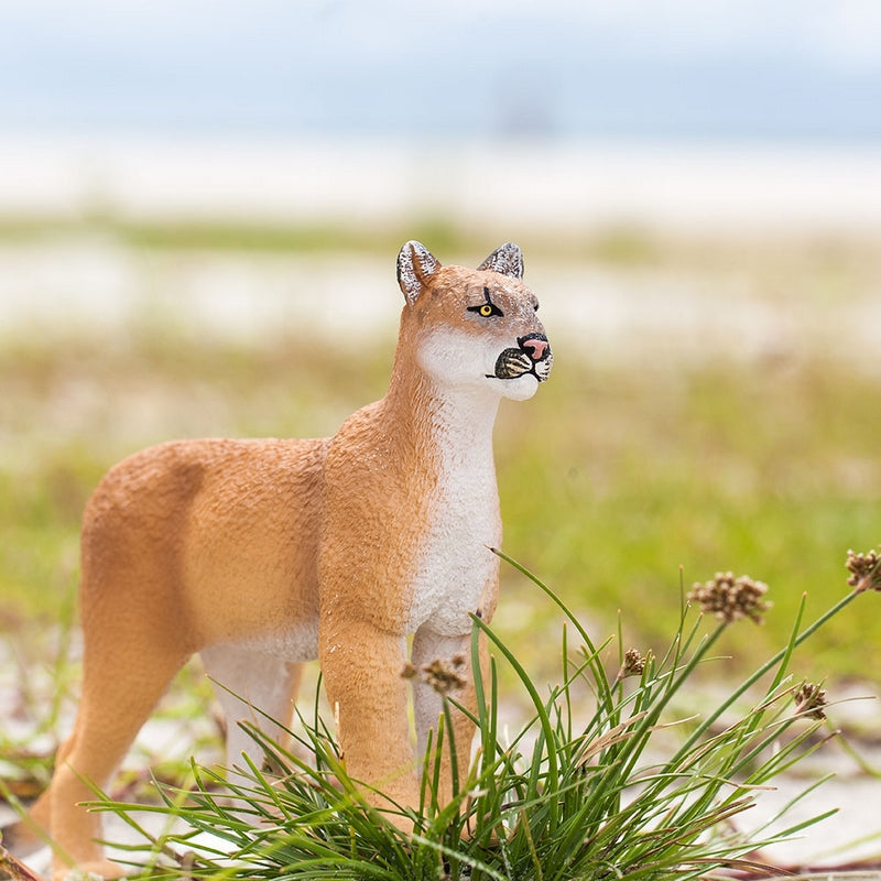 Safari Ltd Florida Panther