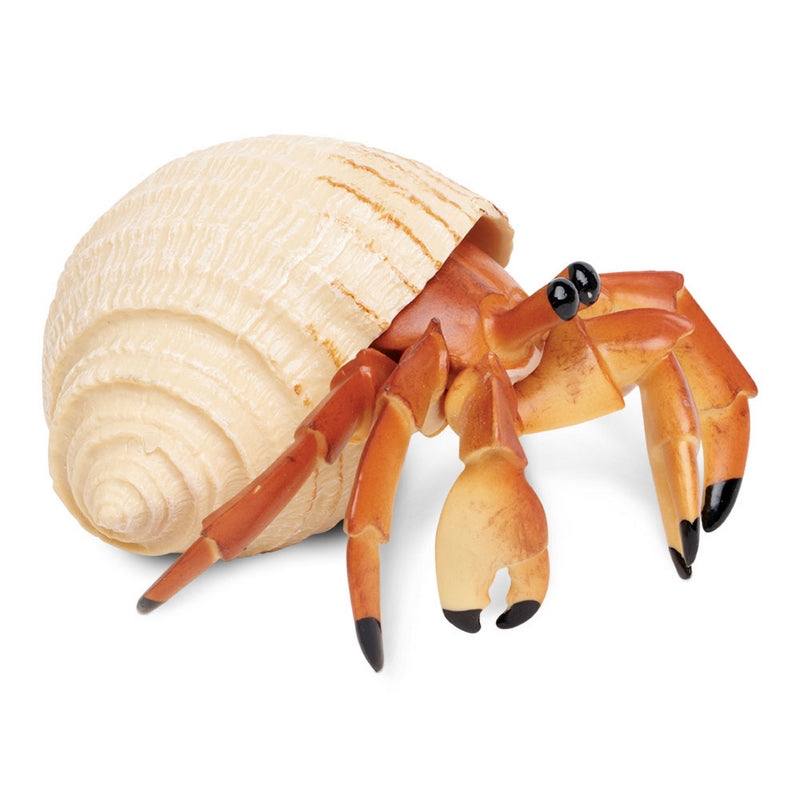 Safari Ltd Hermit Crab