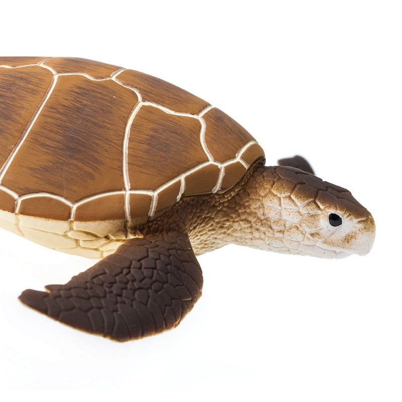 Safari Ltd Green Sea Turtle