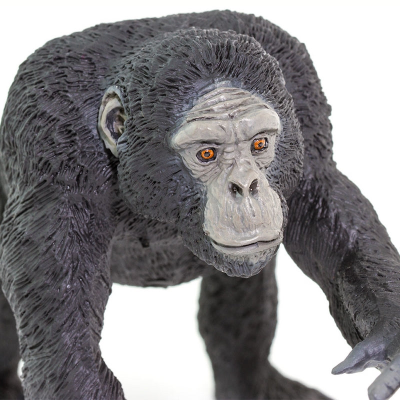 Safari Ltd Chimpanzee