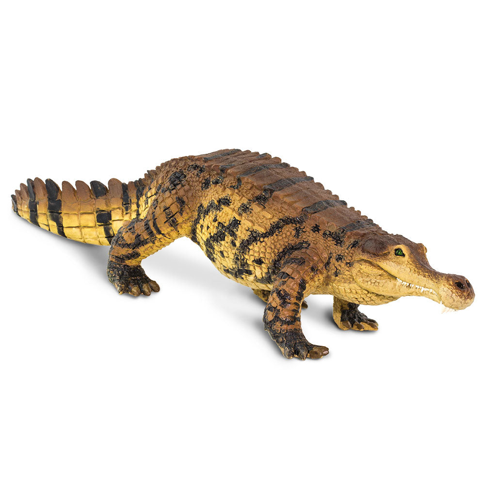 Safari Ltd Sarcosuchus