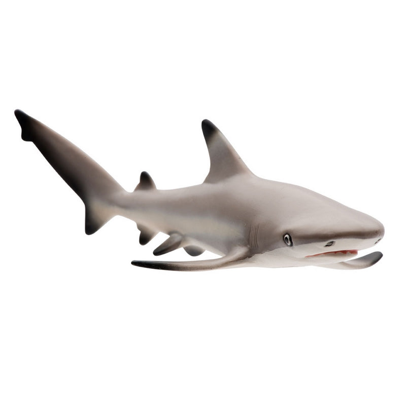 Safari Ltd Blacktip Reef Shark