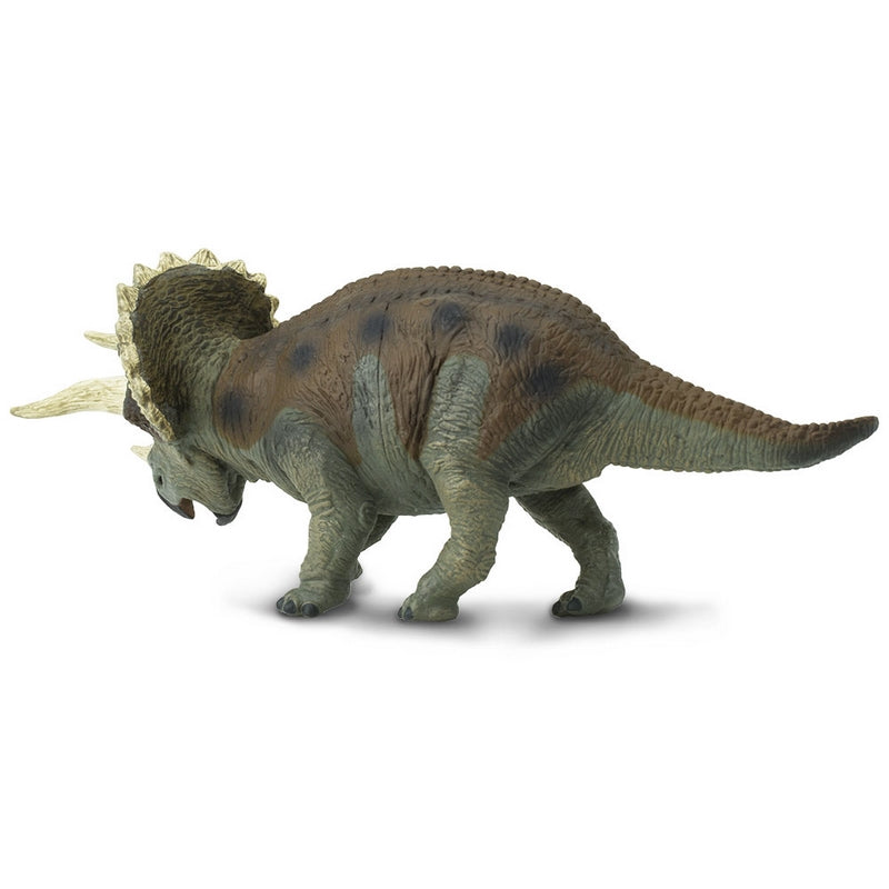 Safari Ltd Triceratops