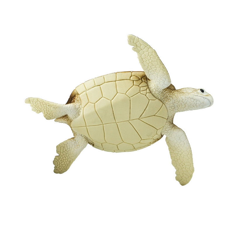 Safari Ltd Green Sea Turtle