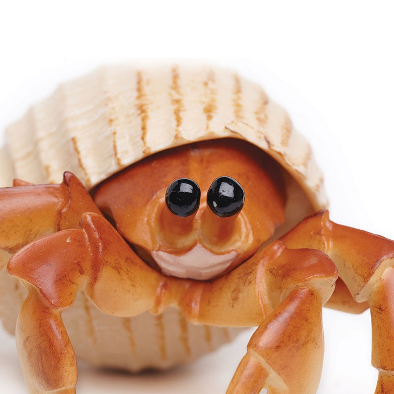 Safari Ltd Hermit Crab