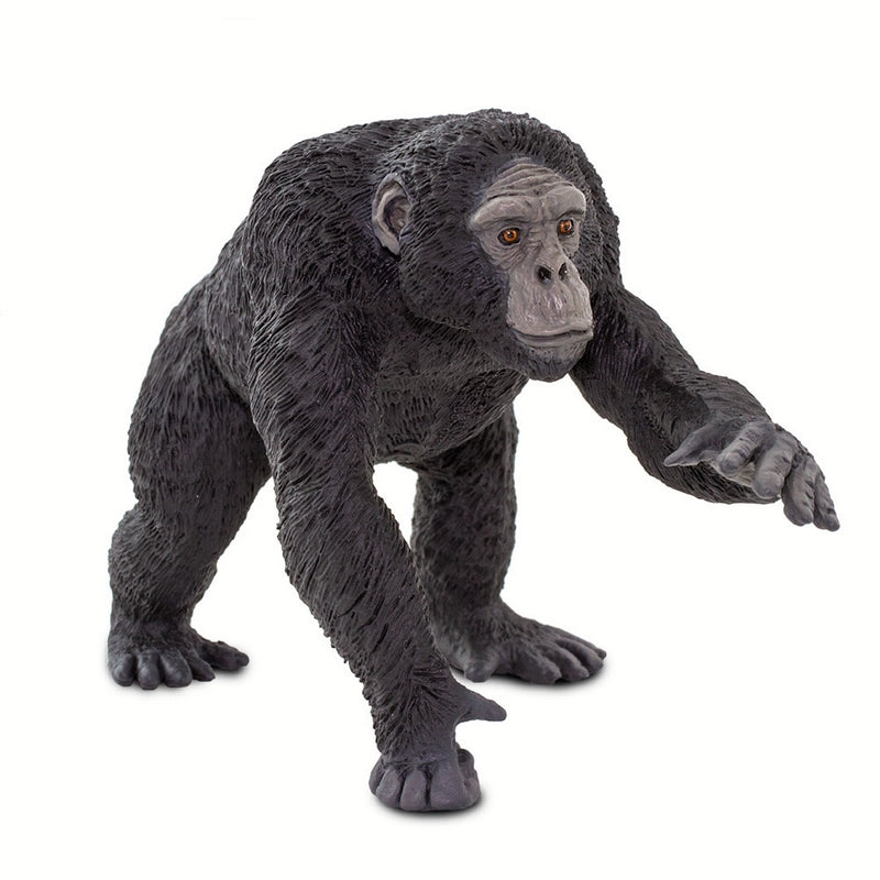 Safari Ltd Chimpanzee