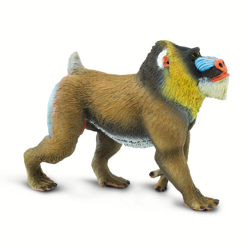 Safari Ltd Mandrill