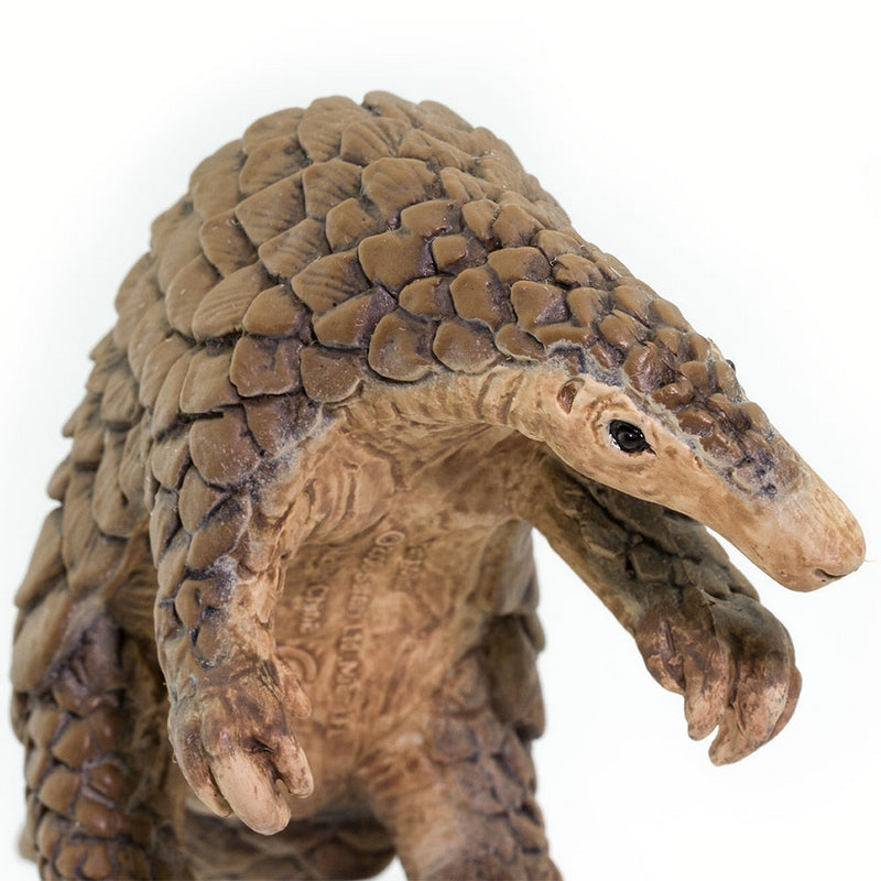 Safari Ltd Pangolin