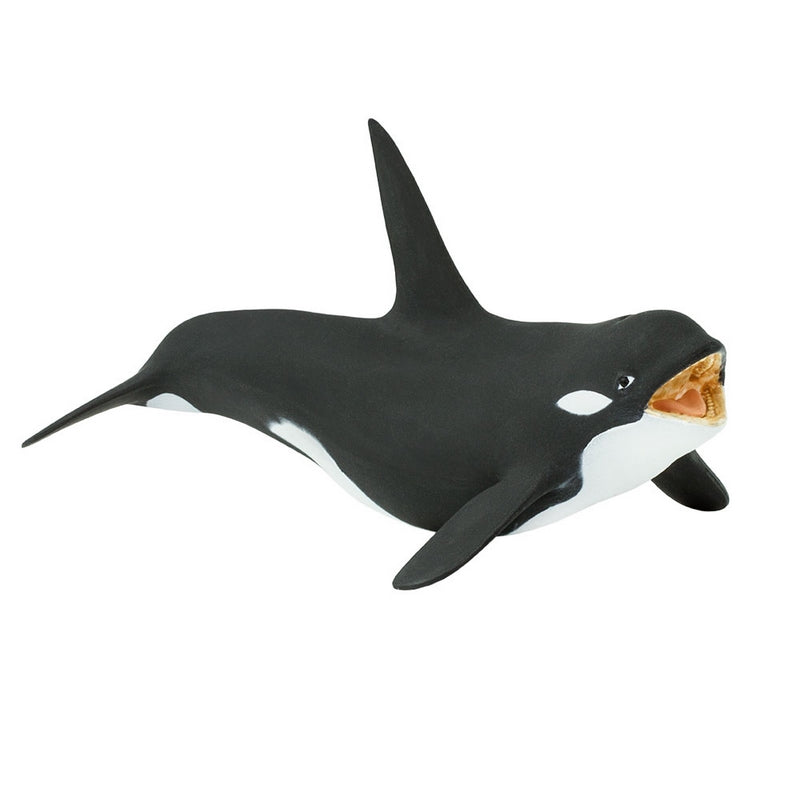 Safari Ltd Killer Whale