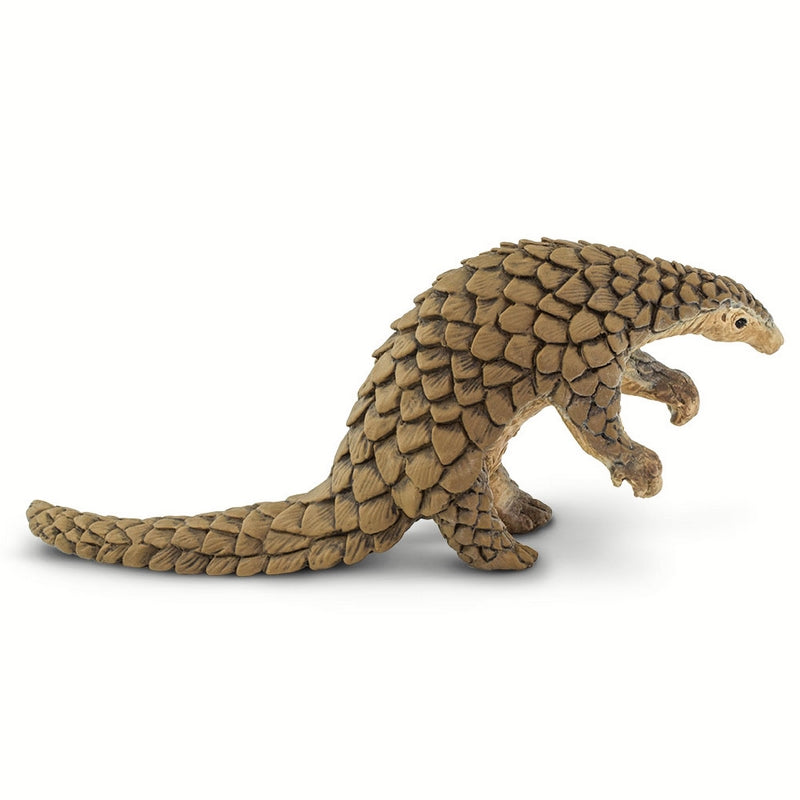 Safari Ltd Pangolin