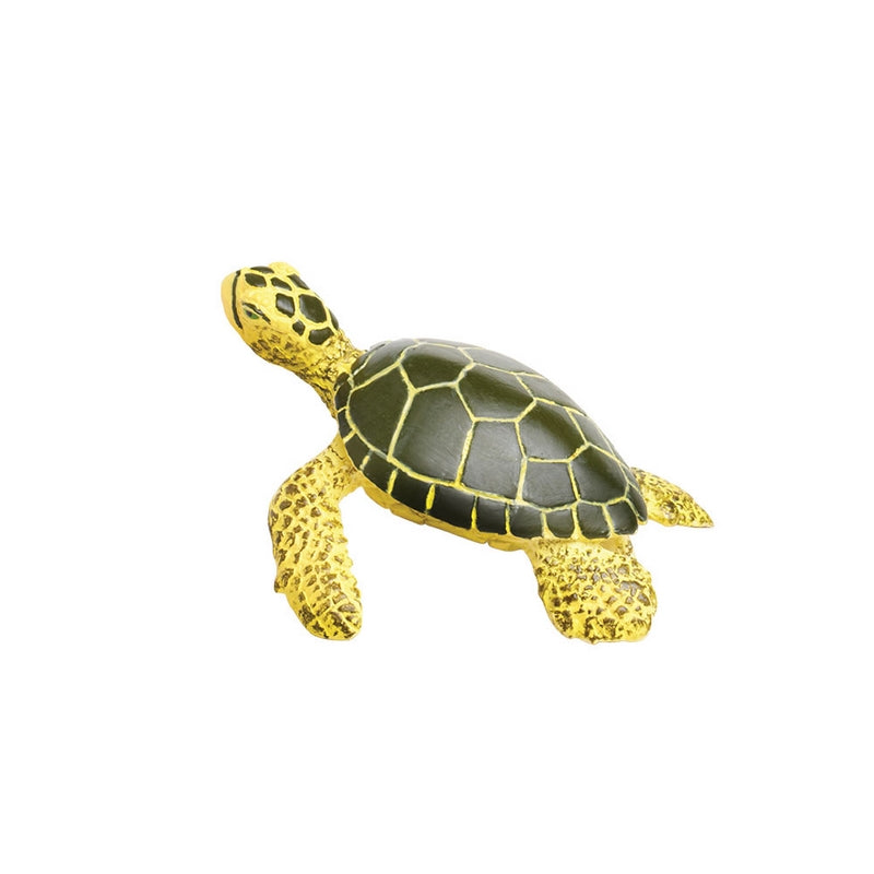 Safari Ltd Green Sea Turtle Baby