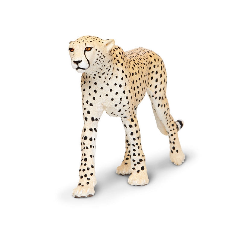 Safari Ltd Cheetah