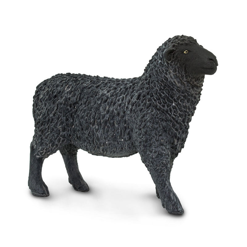 Safari Ltd Black Sheep