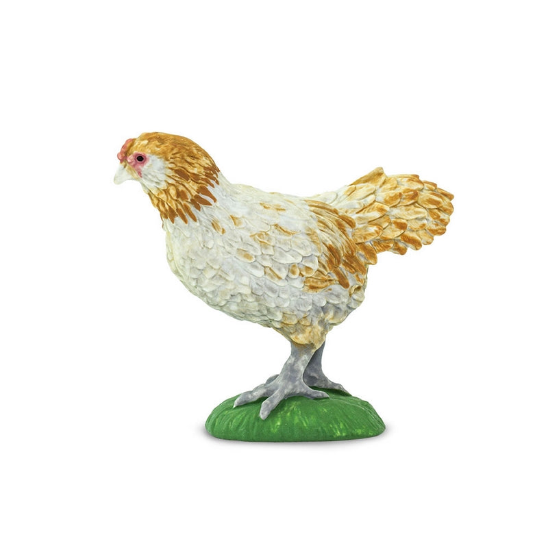 Safari Ltd Ameraucana Chicken