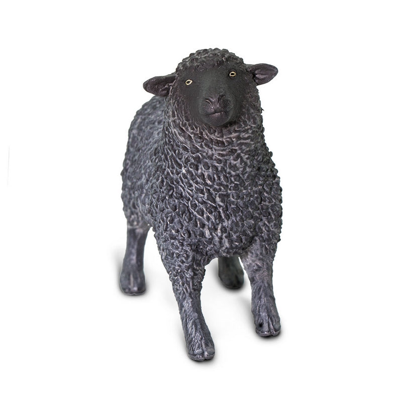 Safari Ltd Black Sheep