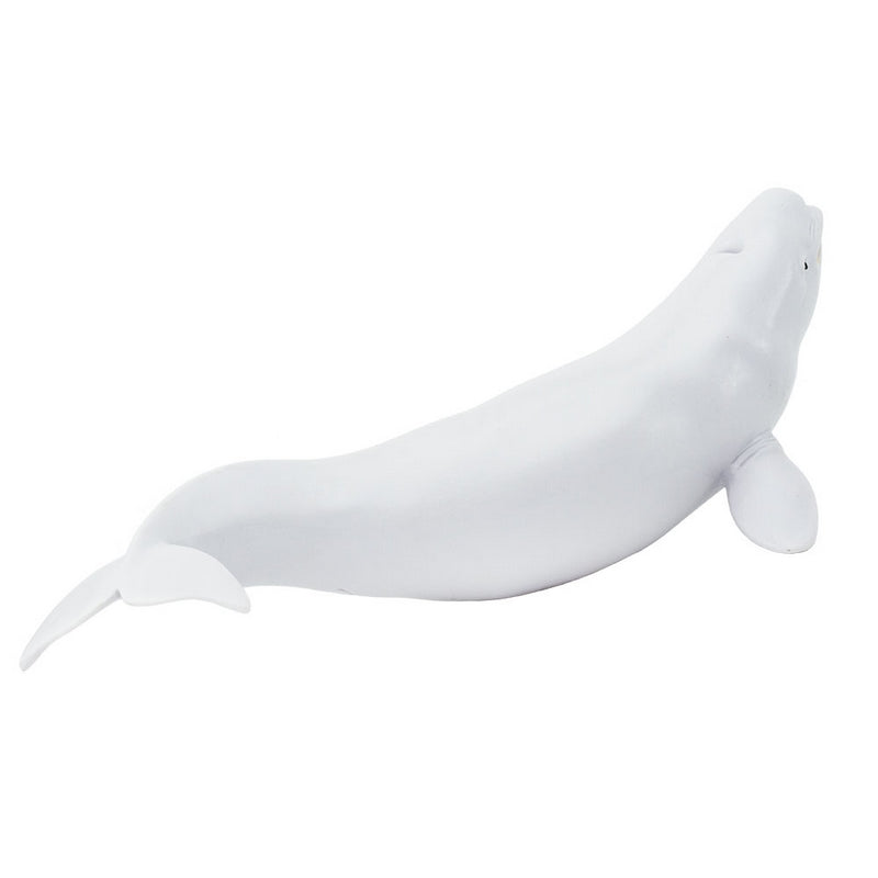 Safari Ltd Beluga Whale