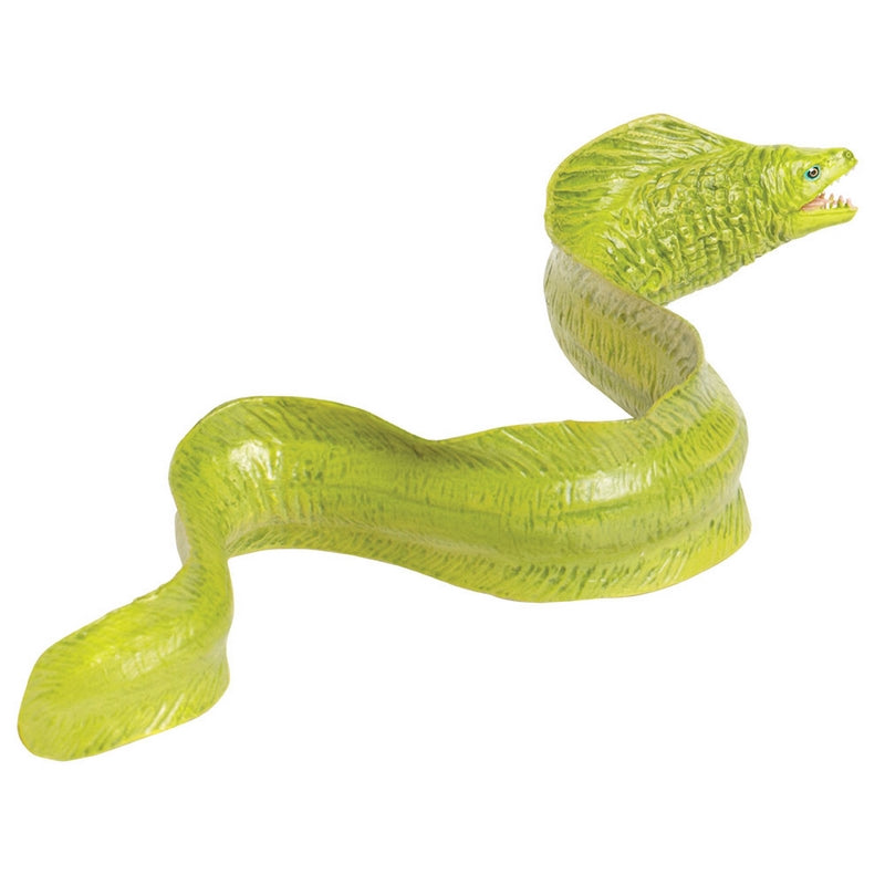 Safari Ltd Moray Eel