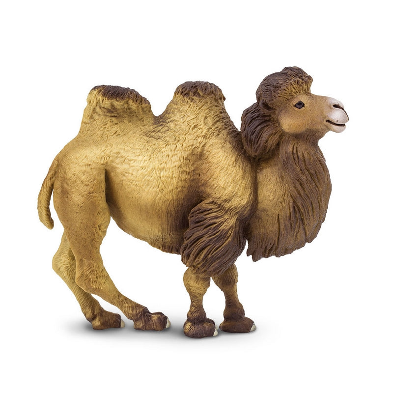 Safari Ltd Bactrian Camel