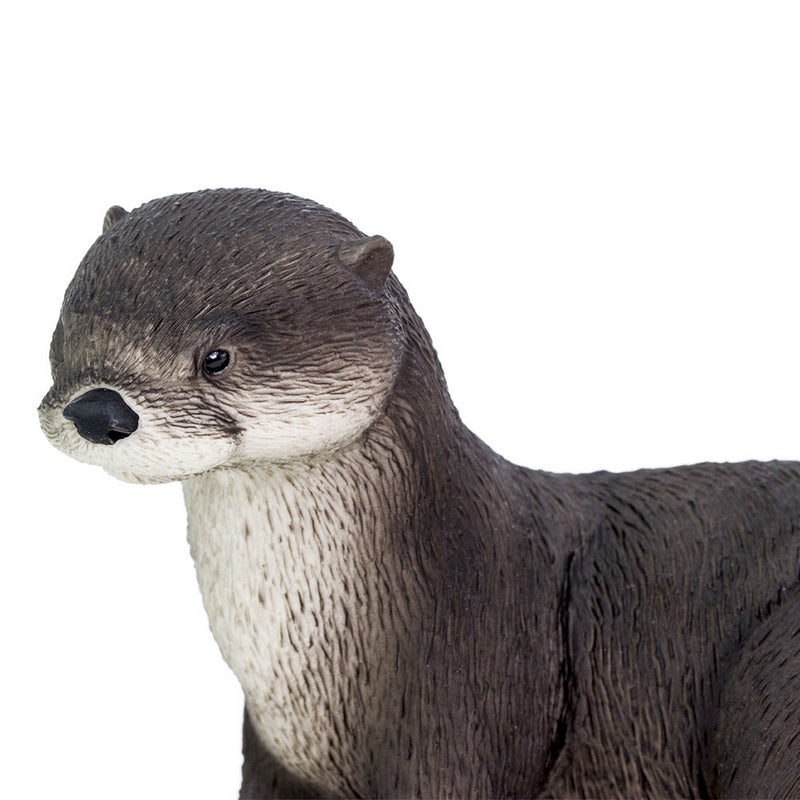 Safari Ltd River Otter