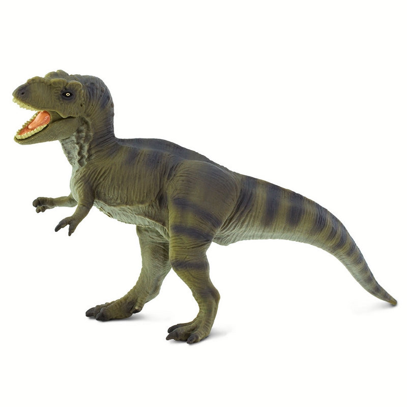 Safari Ltd Tyrannosaurus Rex