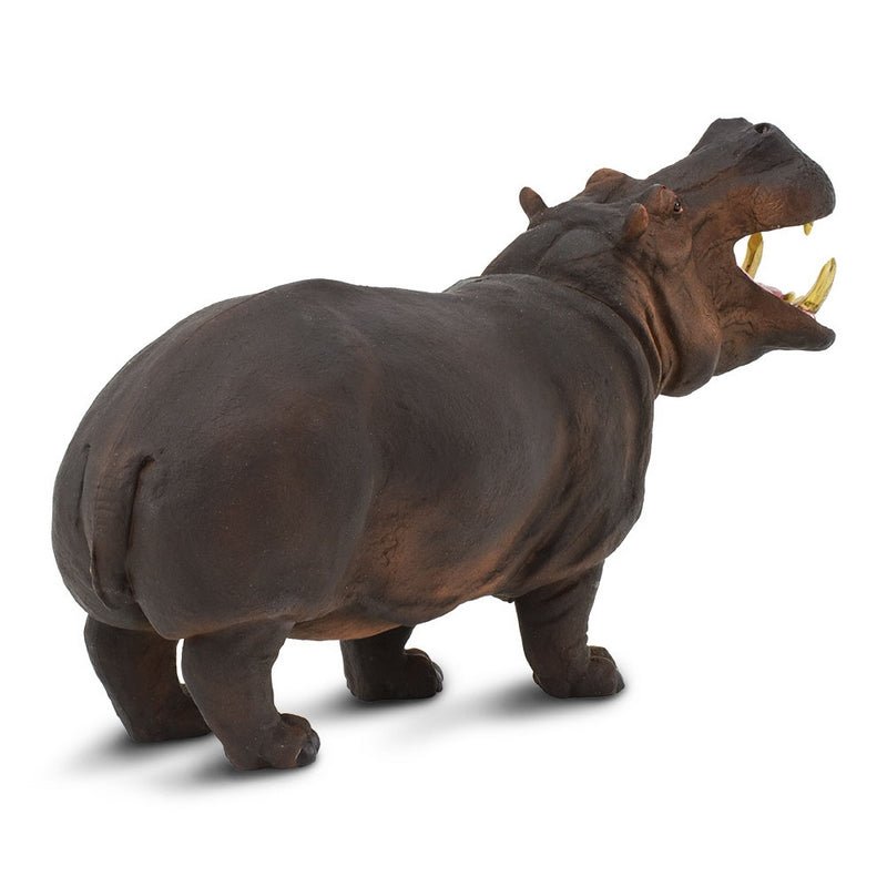 Safari Ltd Hippopotamus