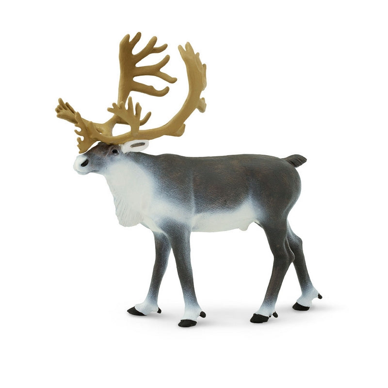 Safari Ltd Caribou