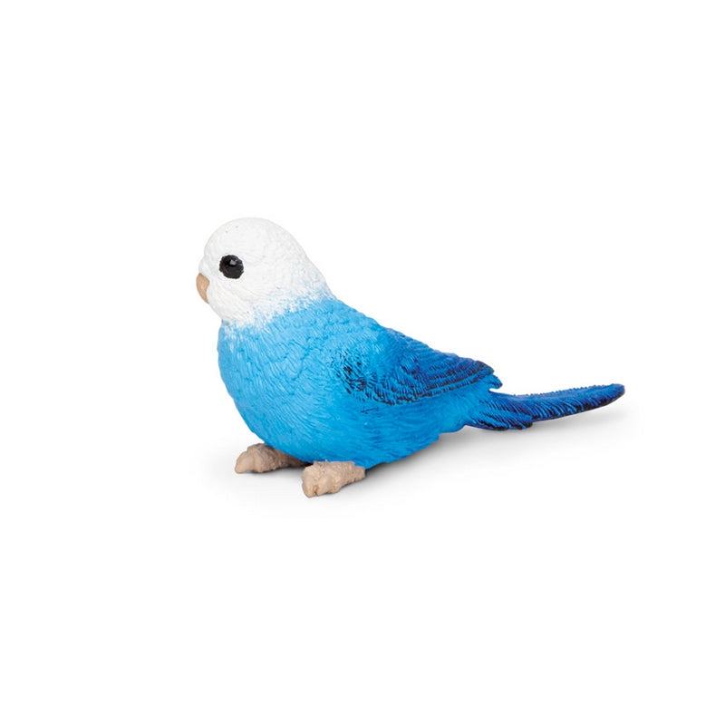 Safari Ltd Blue Budgie