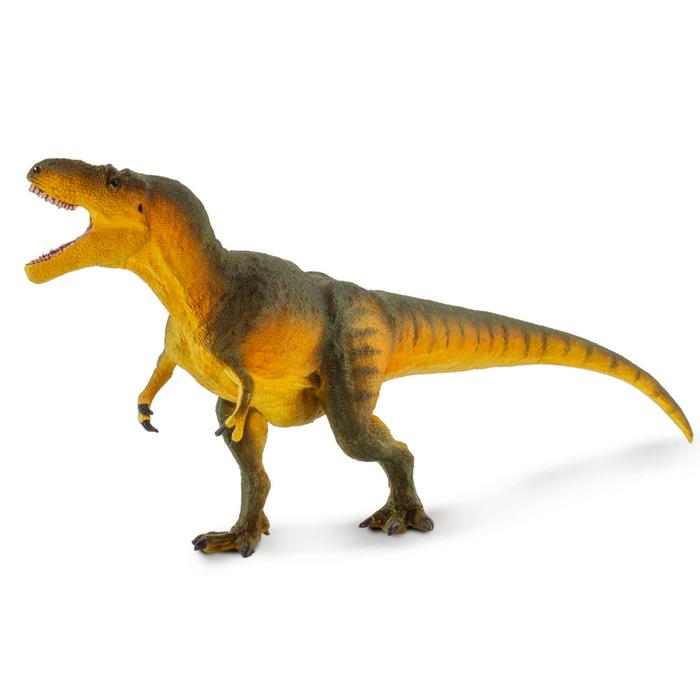 Safari Ltd Daspletosaurus