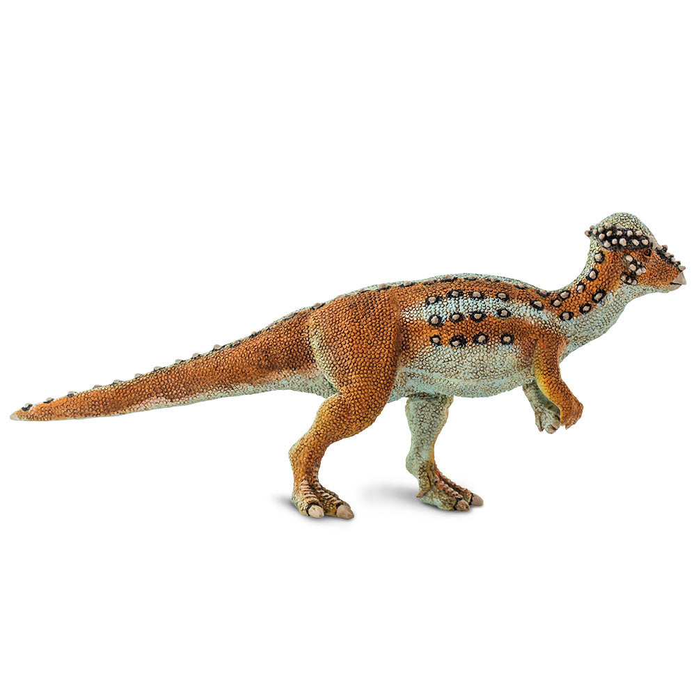 Safari Ltd Pachycephalosaurus