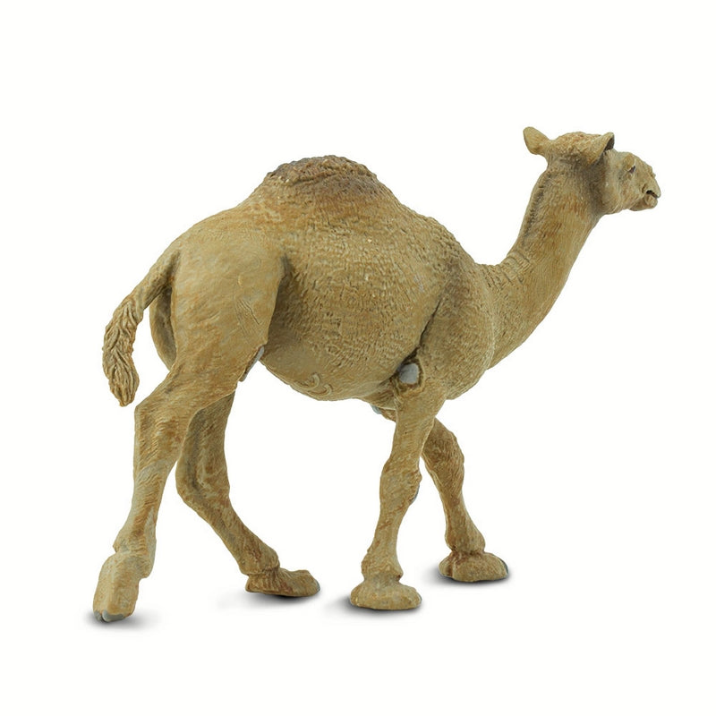 Safari Ltd Dromedary Camel