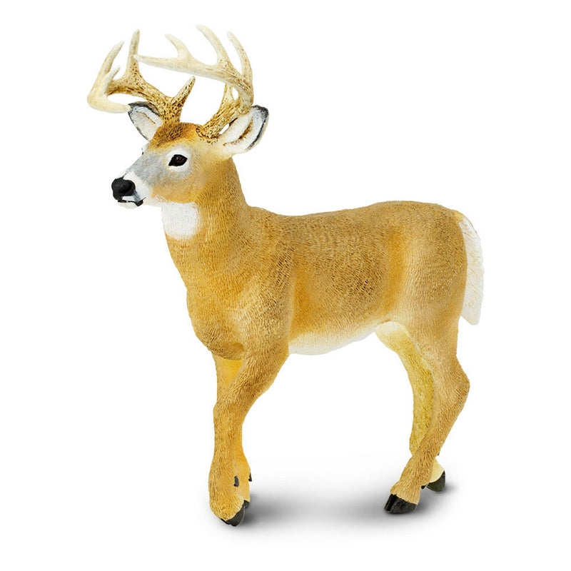 Safari Ltd Whitetail Buck