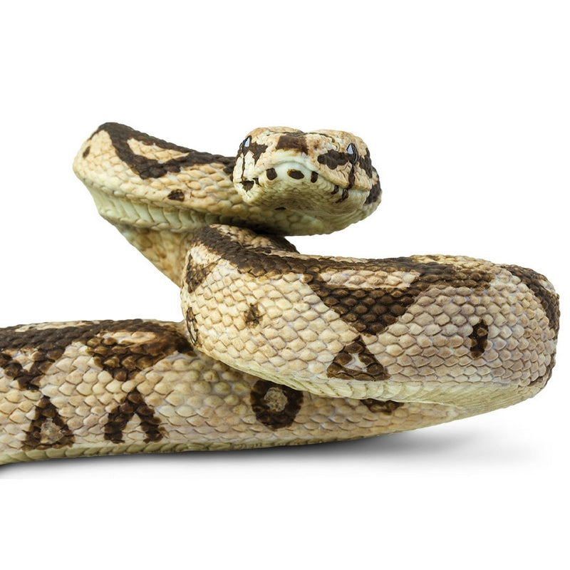 Safari Ltd Boa Constrictor