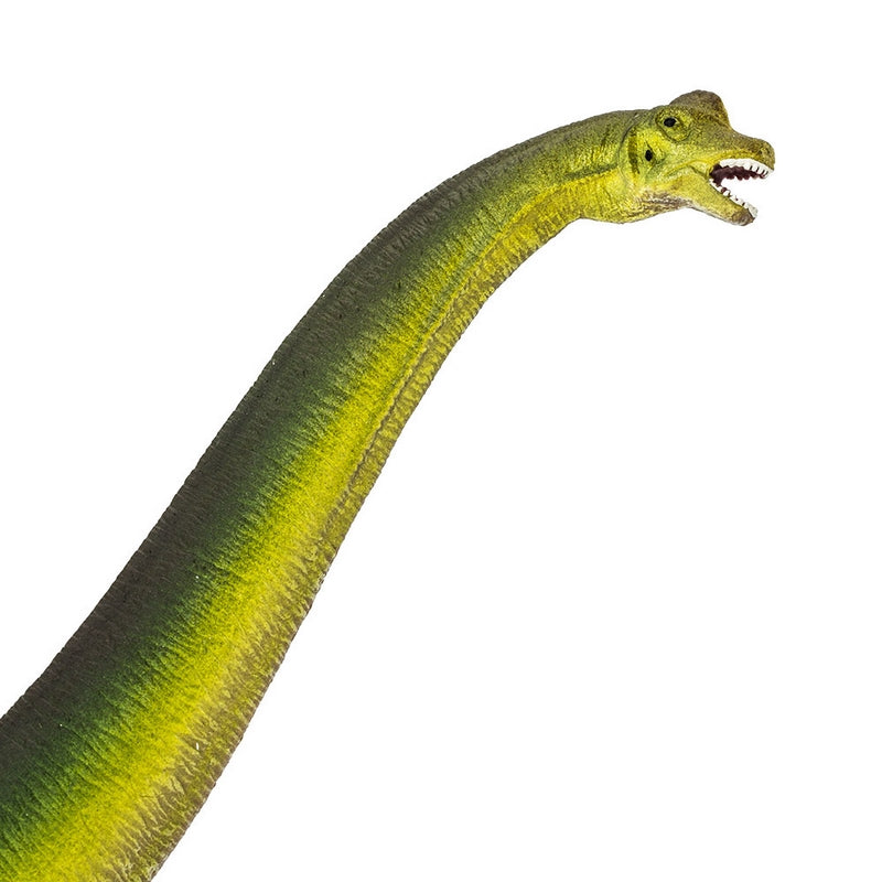 Safari Ltd Brachiosaurus