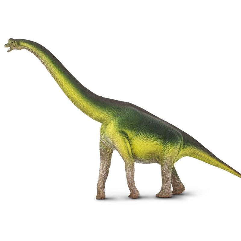 Safari Ltd Brachiosaurus