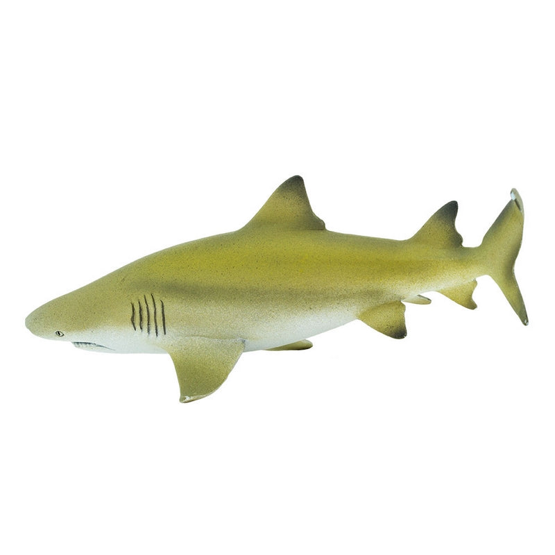 Safari Ltd Lemon Shark